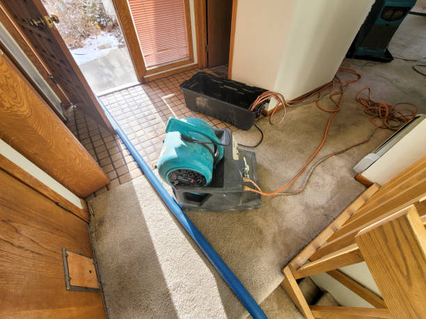 Best 24-hour water damage restoration  in Spring Lake, NJ