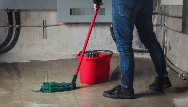 Best Carpet water damage restoration  in Spring Lake, NJ