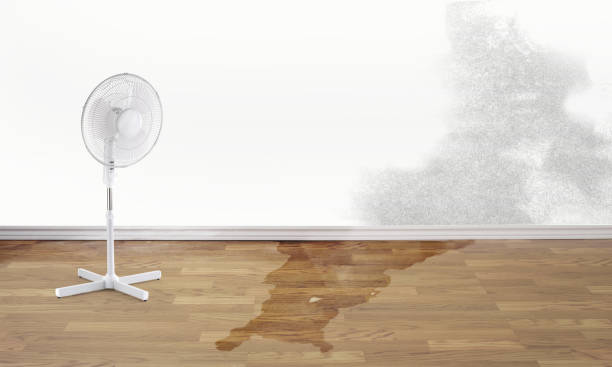 Trusted Spring Lake, NJ Water damage restoration Experts