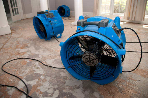 Best Flood restoration services  in Spring Lake, NJ