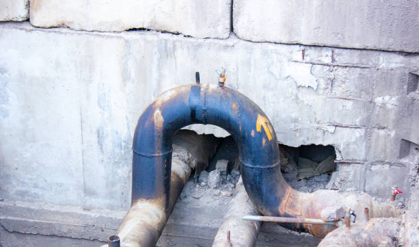 Best Water damage contractors near me  in Spring Lake, NJ
