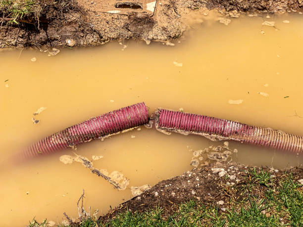 Best Water damage restoration near me  in Spring Lake, NJ